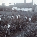School Gardens