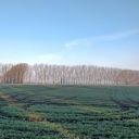 Circular Walk #3 Cow Lane and Valley Park