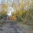 Circular Walk #3 Cow Lane and Valley Park