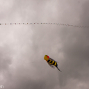 Harwell Feast 2010