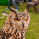 Harwell Feast 2010