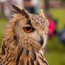 Harwell Feast 2010