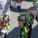 Harwell Feast 2012