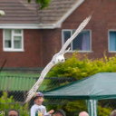 Harwell Feast 2016