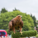 Harwell Feast 2016
