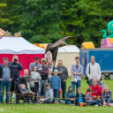 Harwell Feast 2016