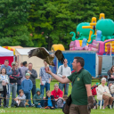 Harwell Feast 2016