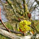 Walk: Harwell - Ridgeway