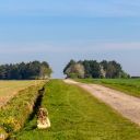 Walk: Harwell - Gore Hill - E. Hendred Down