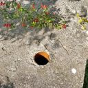 Walk: Harwell - E Hendred - Campus