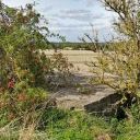 Walk: Harwell - E Hendred - Campus